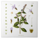 Vintage Kitchen: Peppermint mint plant flowers Tile<br><div class="desc">"peppermint leaf kitchen herb", "cooking ingredient mint leaves", "vintage plant flowers parts", "antique educational diagram illustration", "green plants purple flower", "cook herby herbs essential oils", "chef flavours tastes seasoning", "minty fresh spicy spices", "baker baking ceramic tiles", "foodie spicey food foods"</div>