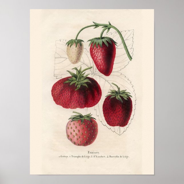 Vintage Kitchen Wall Art (Front)