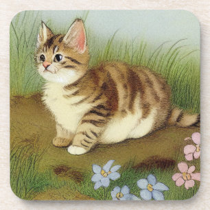 Vintage Kitten Illustration with Flowers Coaster