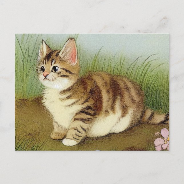 Vintage Kitten Illustration with Flowers Postcard (Front)