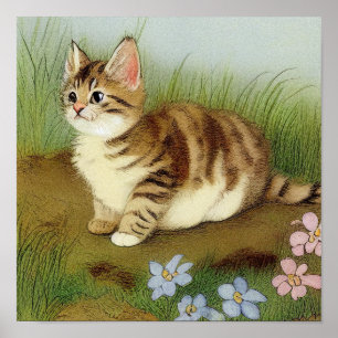 Vintage Kitten Illustration with Flowers Poster