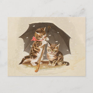 Vintage Kittens Under Umbrella Antique Cat art Postcard