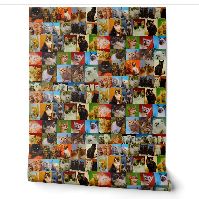 Vintage Kitty Collage Wallpaper (Unrolling)