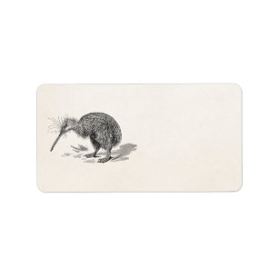 Vintage Kiwi Bird Antique Birds Template Label