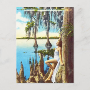 Vintage Knees at Cypress Gardens in Florida Postcard