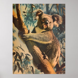 Vintage Koala Poster