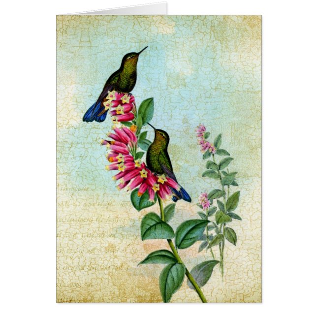 Vintage Kolibris, Gute Besserung (Front)