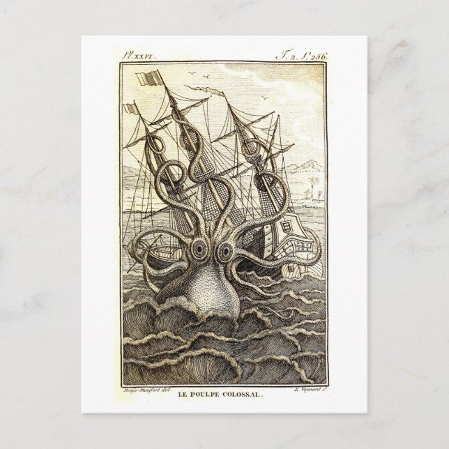Vintage Kraken / Giant Octopus Postcard (Front)