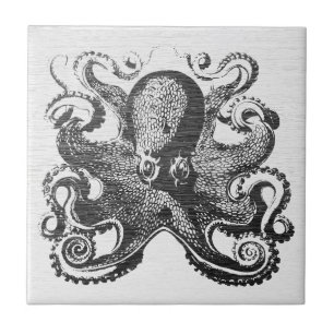 Vintage Kraken Octopus - Nautical Art Tile