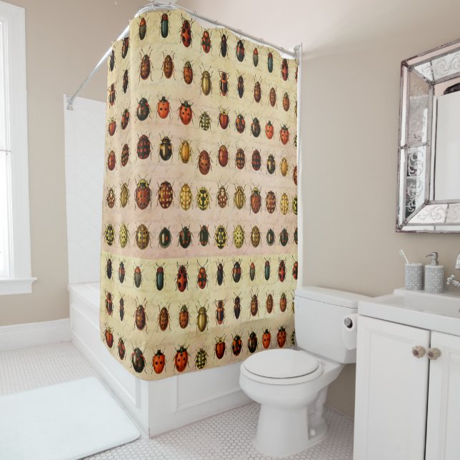 Vintage Ladybug Specimen Pattern Antique Insect (In Situ)