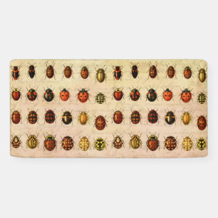 Vintage Ladybug Specimen Pattern Antique Insect Banner