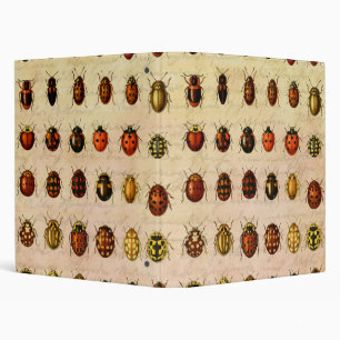 Vintage Ladybug Specimen Pattern Antique Insect Binder