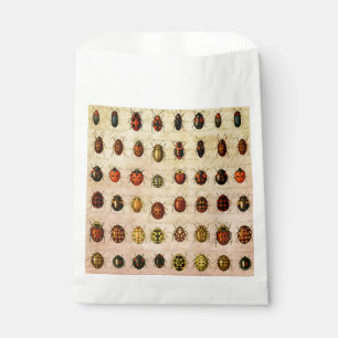 Vintage Ladybug Specimen Pattern Antique Insect Favour Bag
