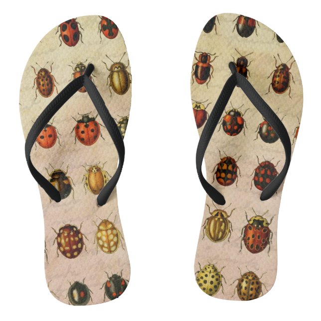 Vintage Ladybug Specimen Pattern Antique Insect Flip Flops (Footbed)