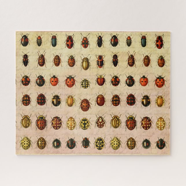 Vintage Ladybug Specimen Pattern Antique Insect Jigsaw Puzzle (Horizontal)