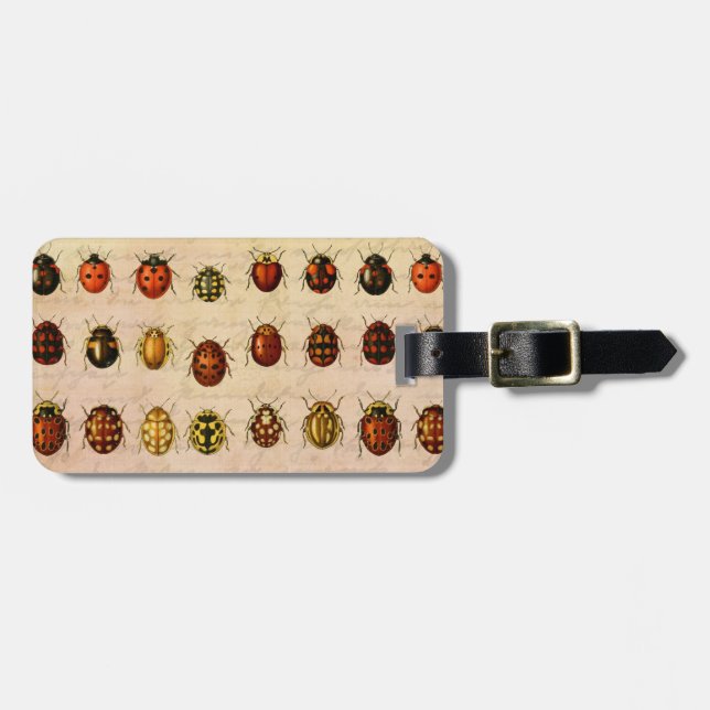 Vintage Ladybug Specimen Pattern Antique Insect Luggage Tag (Front Horizontal)