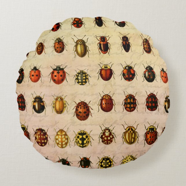 Vintage Ladybug Specimen Pattern Antique Insect Round Pillow (Front)