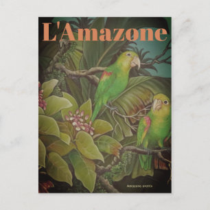 Vintage L'Amazone Travel Postcard