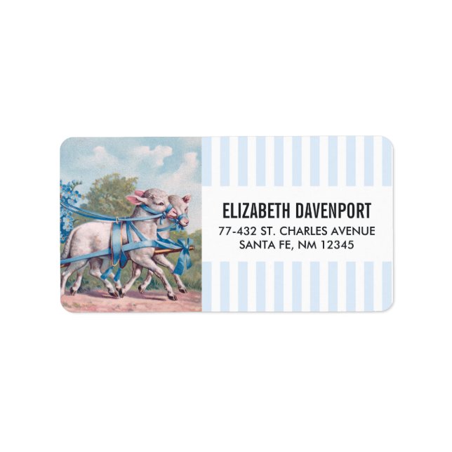 Vintage Lambs Dressed  in Fancy Blue Ribbons Label (Front)