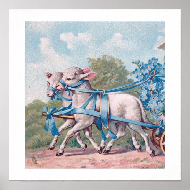Vintage Lambs Dressed  in Fancy Blue Ribbons Poster (Front)