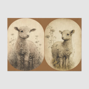 Vintage Lambs  Tissue Paper