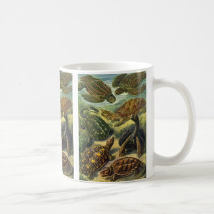 Vintage Land Tortoise Sea Turtles by Ernst Haeckel Coffee Mug