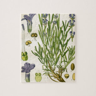Vintage Lavender Botanical Print Jigsaw Puzzle