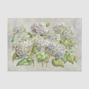 Vintage Lavender Hydrangea Floral  on Grey  Tissue Paper