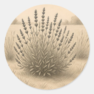 Vintage Lavender Sketch Botanical Serenity Classic Round Sticker
