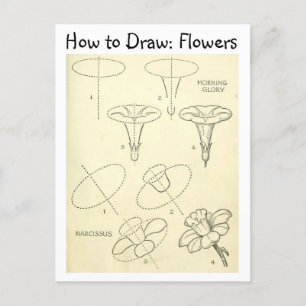 Vintage Learn How to Draw Flowers Postcard