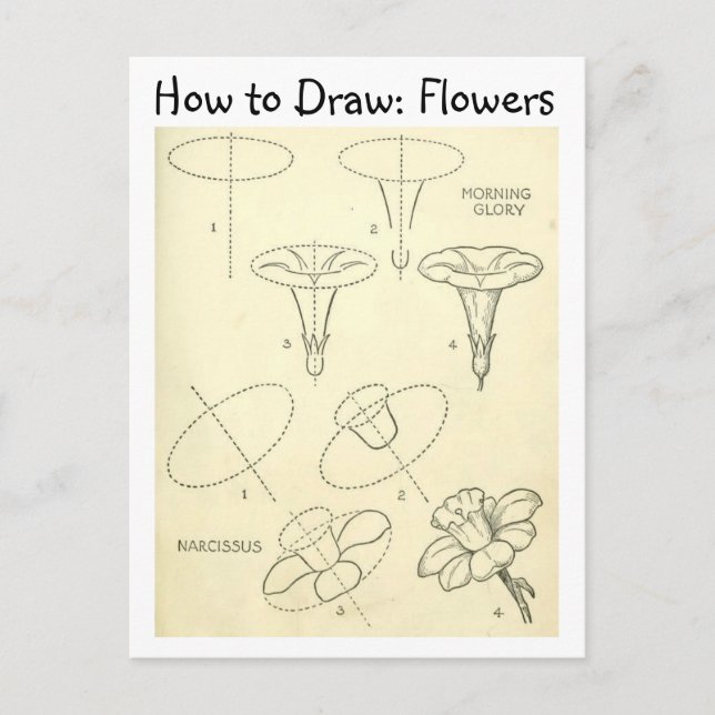 Vintage Learn How to Draw Flowers Postcard (Front)