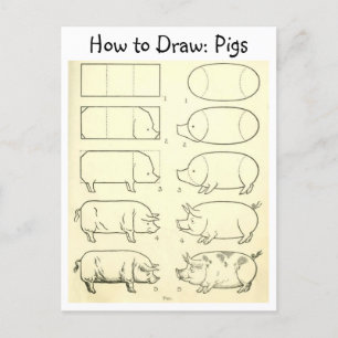 Vintage Learn to Draw Pigs Postcard
