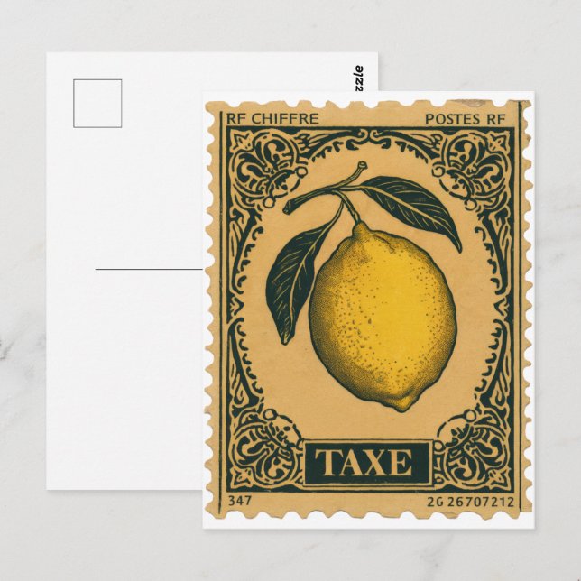 Vintage Lemon Botanical Fruit Postcard  (Front/Back)