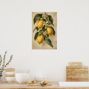 Vintage Lemon Botanical Mediterranean Kitchen  Poster