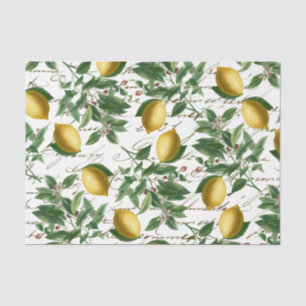 Vintage Lemon Branch French Script Fruit Wrapping Tissue Paper