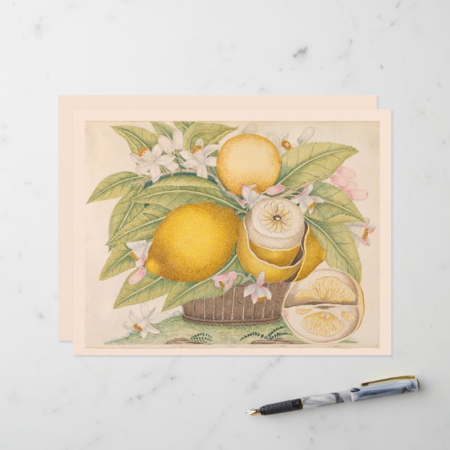 Vintage Lemons Citrus Fruit Drawing Scrapbook Page (Front/Back In Situ)