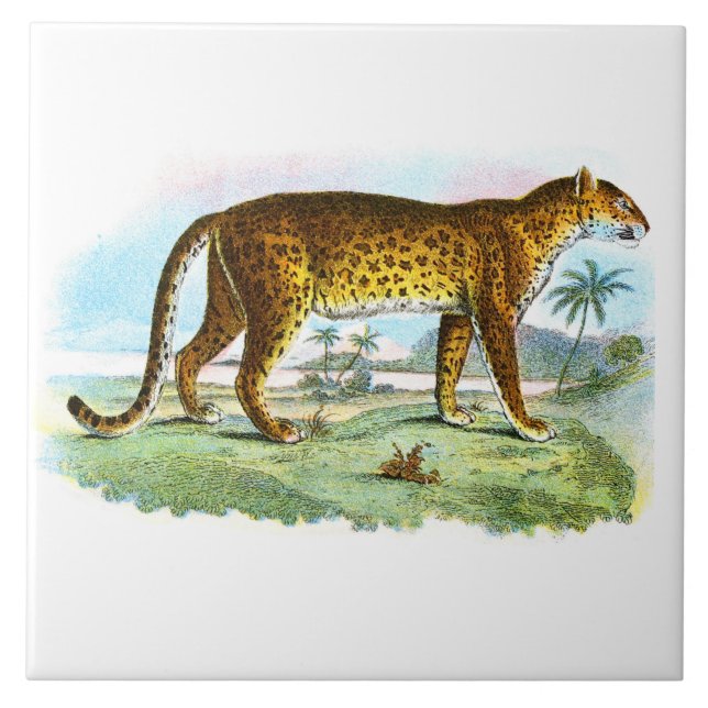 Vintage Leopard Animal Illustration Tile (Front)