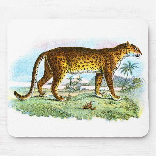 Vintage Leopard Illustration Mousepad (Front)