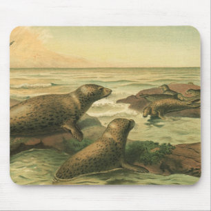 Vintage Leopard Seals, Aquatic Animals Marine Life Mouse Pad