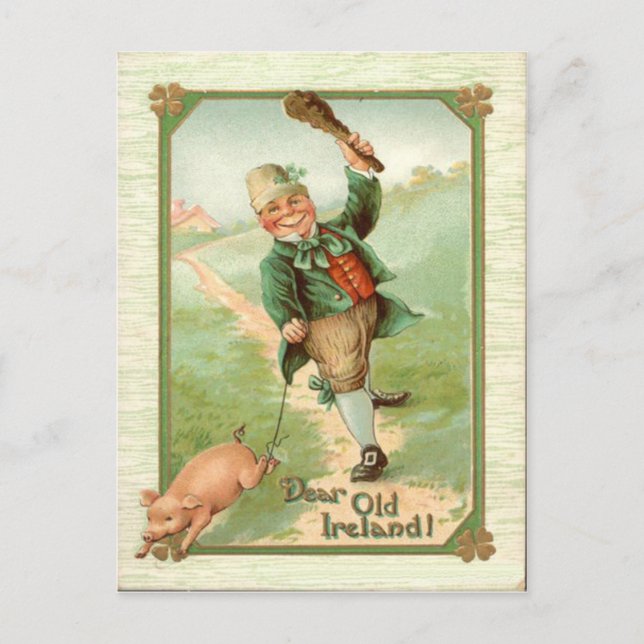Vintage Leprechaun Pig Shillelagh St Patrick's Day Postcard (Front)