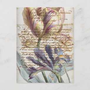 Vintage letter postcard
