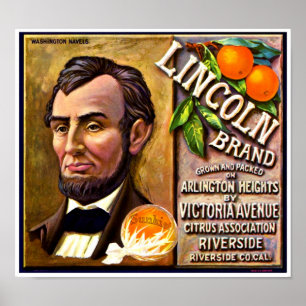 Vintage Lincoln Brands Orange Fruit Crate Label Poster