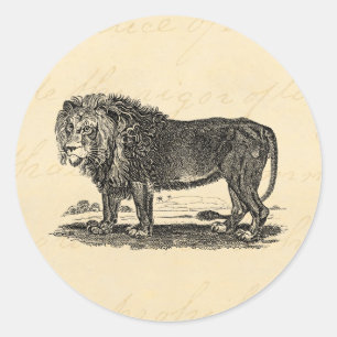 Vintage Lion Illustration - 1800's African Animal Classic Round Sticker