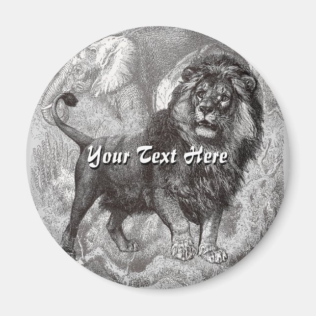 Vintage Lion  Magnet (Front)