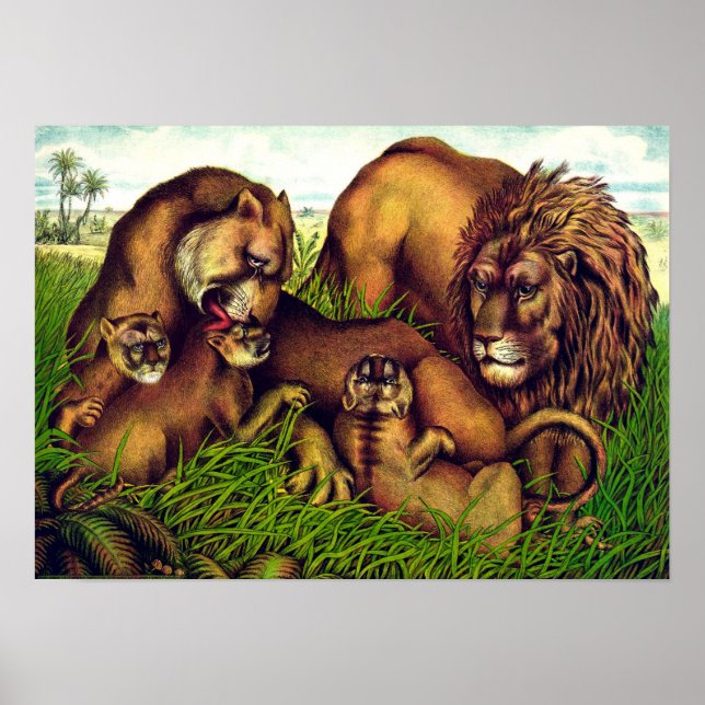Vintage lion pride painting poster (Front)