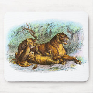 Vintage Lioness And Cubs Illustration Mousepad