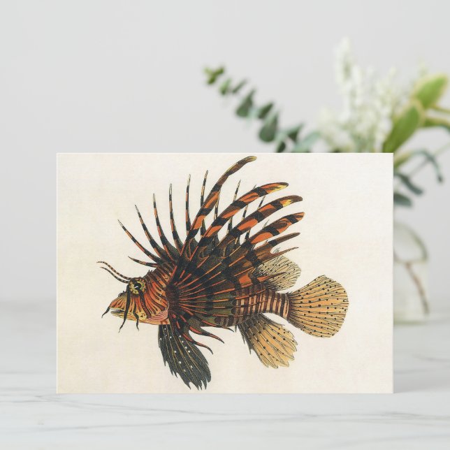 Vintage Lionfish Fish, Marine Ocean Life Animal (Standing Front)