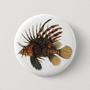 Vintage Lionfish Fish, Marine Ocean Life Animal 2 Inch Round Button