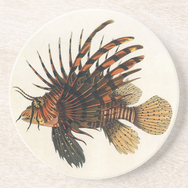 Vintage Lionfish Fish, Marine Ocean Life Animal Coaster (Front)