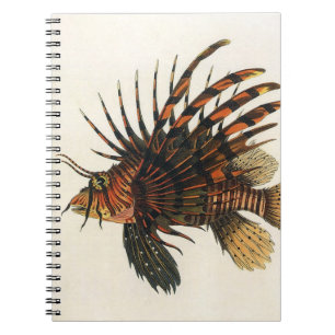 Vintage Lionfish Fish, Marine Ocean Life Animal Notebook